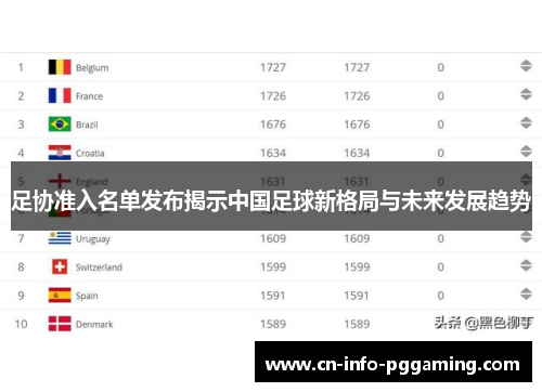 足协准入名单发布揭示中国足球新格局与未来发展趋势