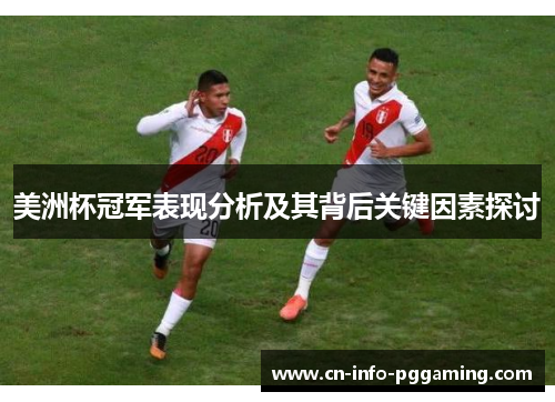 美洲杯冠军表现分析及其背后关键因素探讨