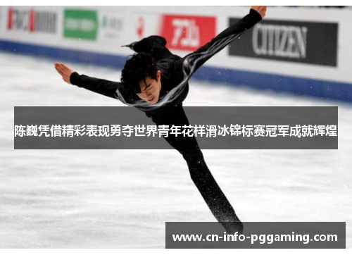 陈巍凭借精彩表现勇夺世界青年花样滑冰锦标赛冠军成就辉煌